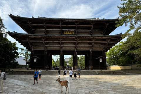 Nara: Visita guiada a pie con el Gran Buda y el Ciervo(5h)