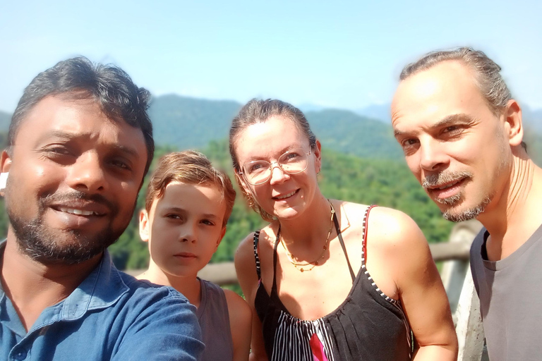 From Colombo or Negombo: Ella Day Trip with nine arch bridge