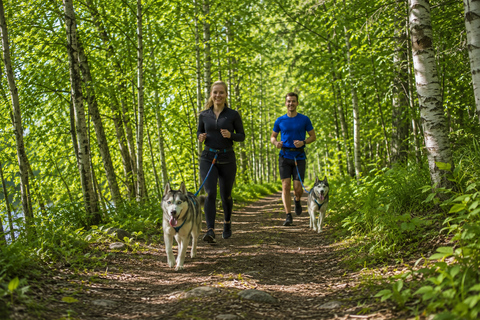 Sipoonkorpi National Park: Guided husky hike