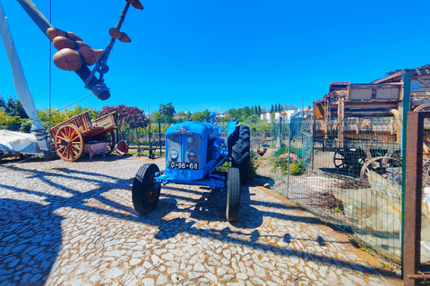 Évora’s UNESCO Sites and the Enchanted Village of Monsaraz