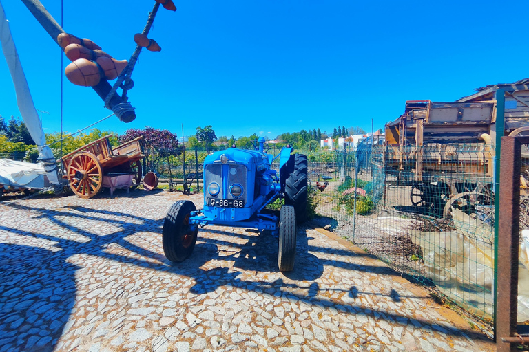 Évora’s UNESCO Sites and the Enchanted Village of Monsaraz