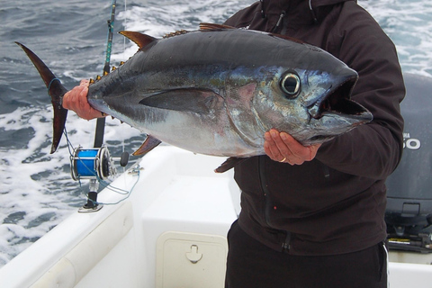 Azoren: Ponta Delgada Sportvissen Privétour