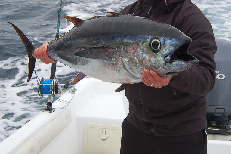 Açores: Tour particular de pesca desportiva em Ponta Delgada