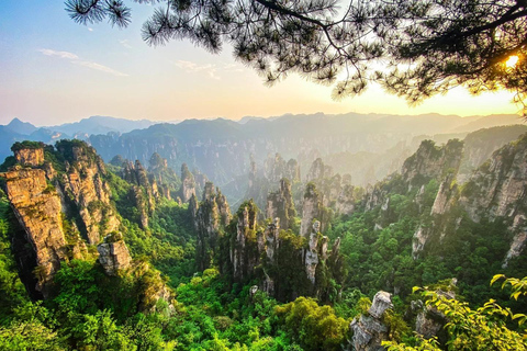 Exclusive VIP Zhangjiajie National Forest Park Day Tour