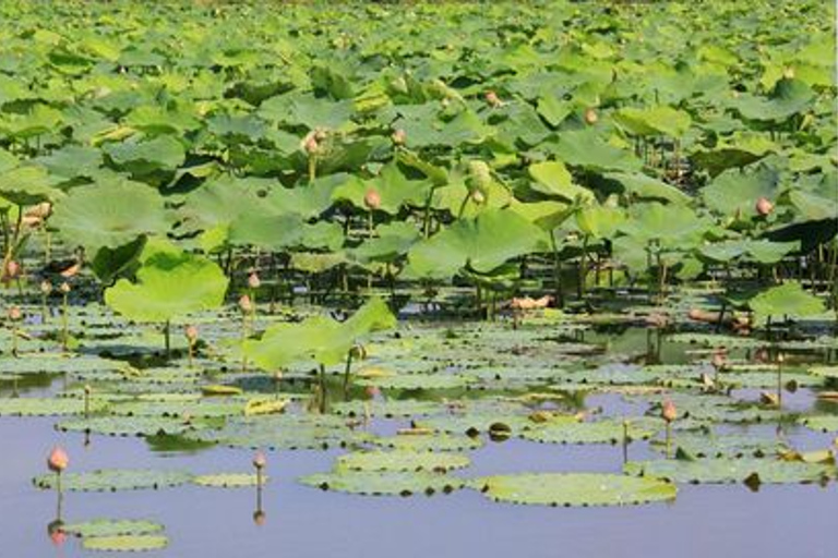 Canal Mahasawat: Tour rural de 1 día con entrada y almuerzoOpción estándar