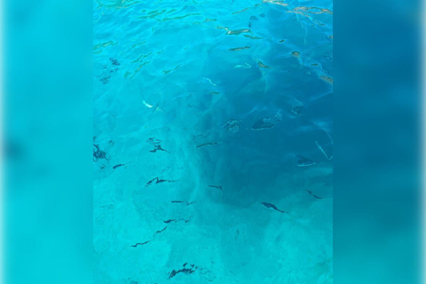 Cargèse: Capo Rosso "Snorkeling" and Sea Cave Tour Cargèse: Capo Rosso ramble with fins, mask and snorkel