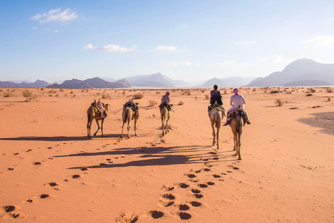 From Petra: Wadi Rum Jeep Tour with Amman Drop-Off