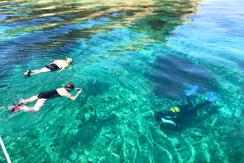 Kuşadası: Premium Scuba Diving, Wreck and Cave Expeditions Pro: Reef Dive (Certified Divers)