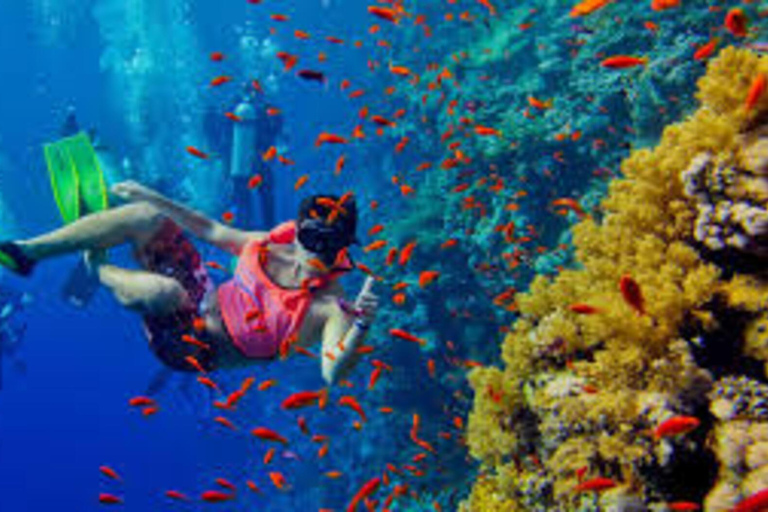 Zanzibar : Forêt de Jozani, grotte de Kuza, lagon bleu et dîner