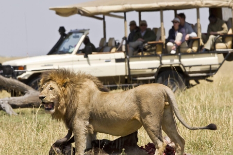 7 jours de safari au Kenya classique avec plage
