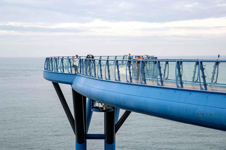 (Guaranteed Return) Busan City Tour for Ulsan Cruise Guests