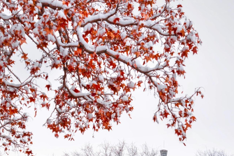 Beijing: Summer Palace Tickets Beijing: Summer Palace Joint Ticket