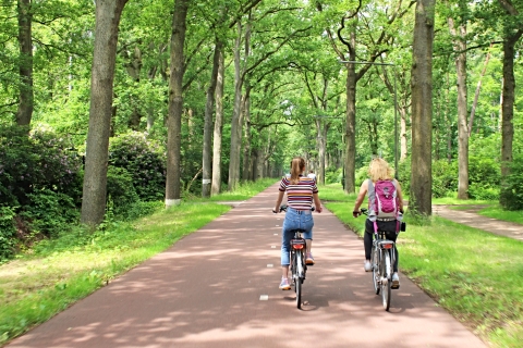 Eindhoven : Visite guidée à vélo Les points forts d'EindhovenEindhoven : Visite guidée à vélo le long des points forts de la ville