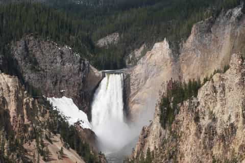 fullday yellowstone lower loop tour from jackson wyoming