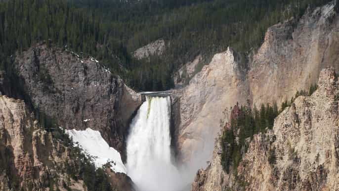 desde jackson wyoming tour por yellowstone lower loop