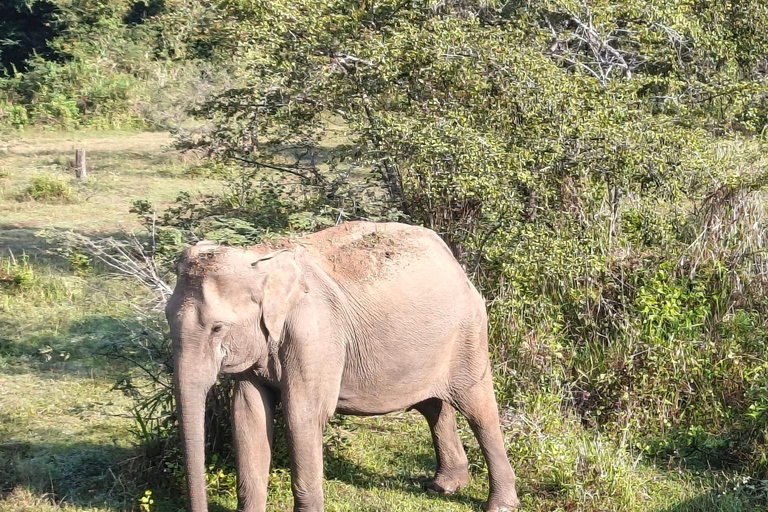 Hurulu Eco Park Private Jeep Safari & Scenic Lake view Hurulu Eco Park Private Safari - Entry Fees Included