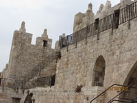 Palmzondag processie uit Jeruzalem of Tel Aviv - Housity