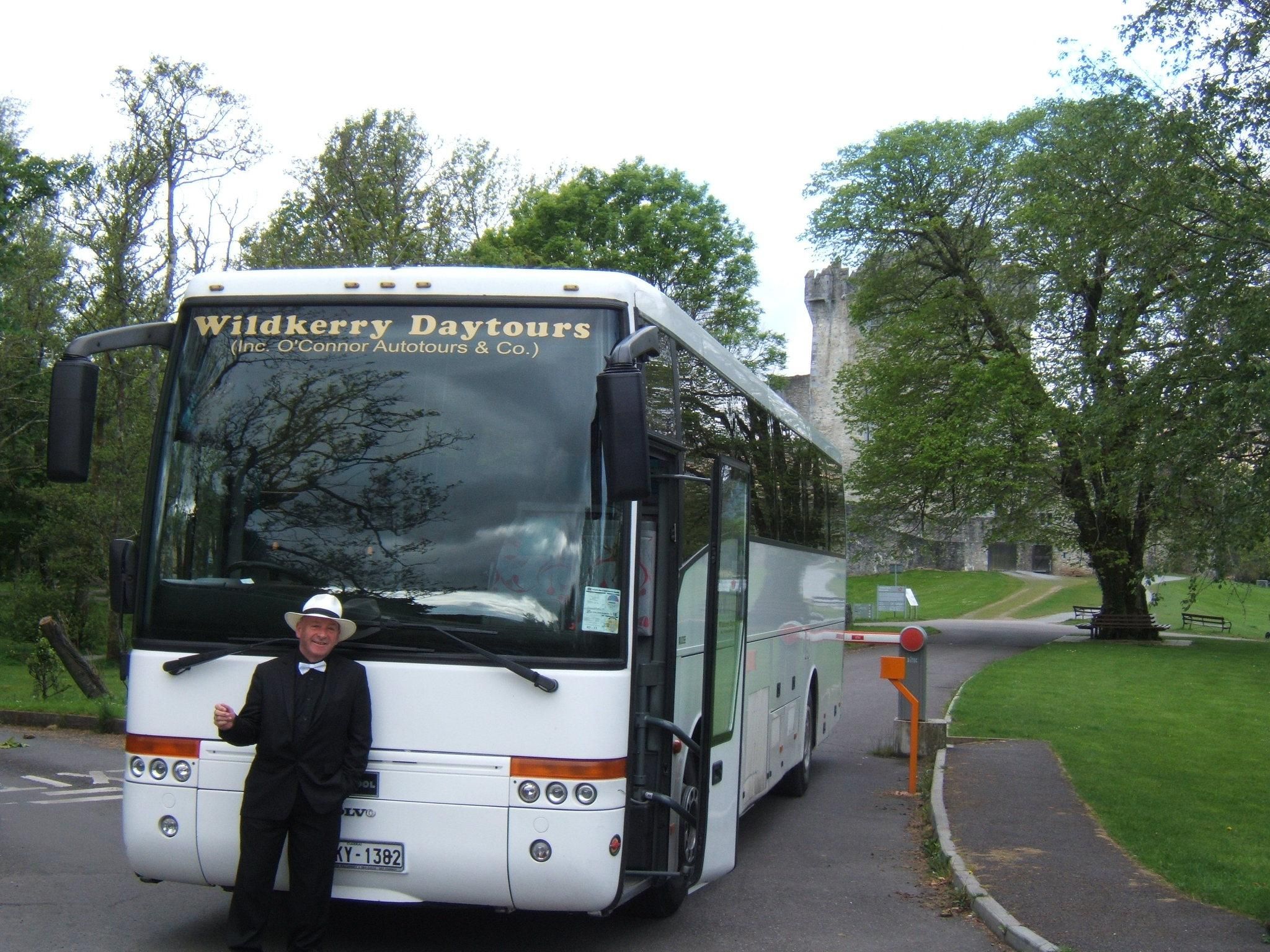 Ab Killarney: "Ring of Kerry" Mountain Road 1-Tages-Bustour