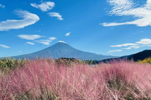 Tokyo: Full-day tour of the four Majestic spots of Mt Fuji