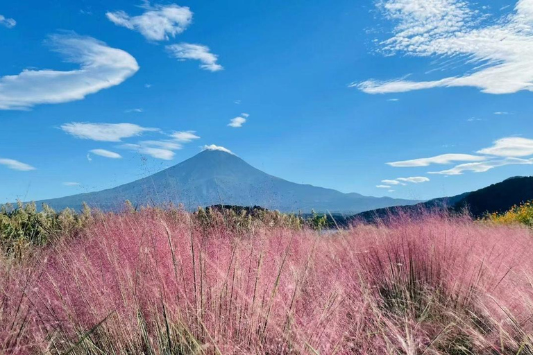 Tóquio: Monte Fuji, Parque Arakura Sengen, excursão de ônibus Oshino HakkaiDe Shinjuku para o Monte Fuji às 8:30h