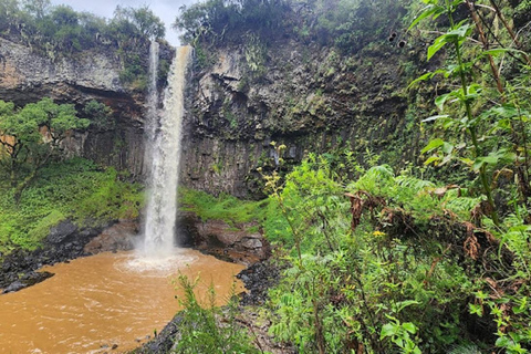 内罗毕：3日阿伯达雷国家公园经济型Safari内罗毕：3天阿伯达雷国家公园经济型Safari之旅
