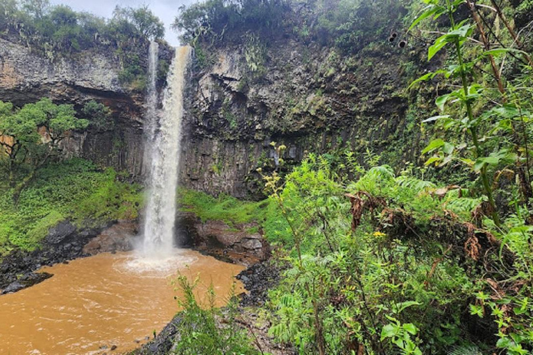 内罗毕：3日阿伯达雷国家公园经济型Safari内罗毕：3天阿伯达雷国家公园经济型Safari之旅