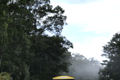 Pemberton: Iconic Heritage Tram Tour One Way Tram Tour