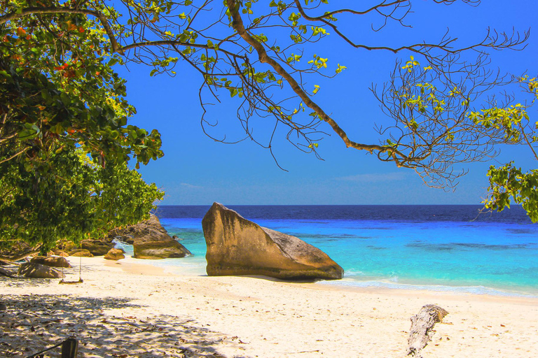 KhaoLak: Similan Islands Lazy Morning Snorkeling Catamaran