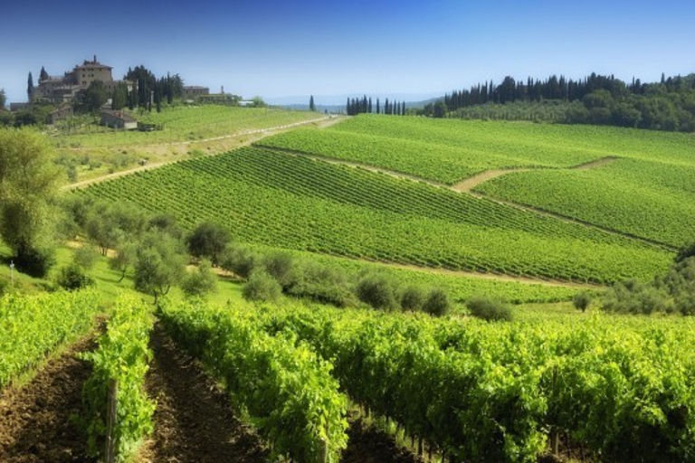 Best of Tuscany Full-Day Scenic Tour from Florence