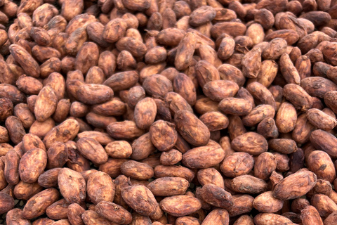 Ancestral Cocoa Workshop in Ronda - cocoa preparation and ritual Ceremonial cocoa tasting