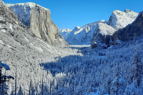 Yosemite National Park Tour with Optional Alcatraz Visit Yosemite National Park 1-Day Bus Tour with Alcatraz Visit