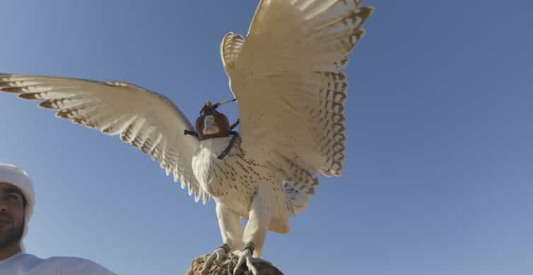 Doha: Dune Safari, Camel Ride, & Sandboarding with Transfer photo 15