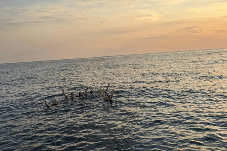 Durrës: Amaizing SpeedBoat Tour