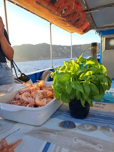 Santa Margherita: day tour on a fishing boat with lunch