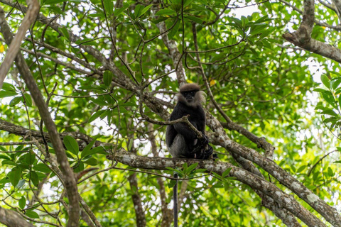 All-Inclusive Galle Dutch Fort, Koggala Lake & Kayak Tour From Tangalle: Galle Dutch Fort, Koggala Lake & Kayak