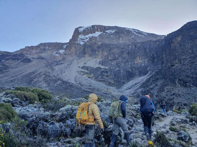 8 days Kilimanjaro Climbing Lemosho route