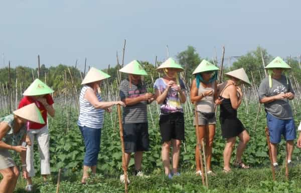 fullday farming cooking class at agricultural village