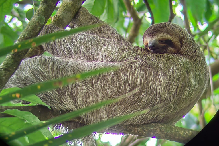 Van San José naar Manuel Antonio nationaal park Rondleiding