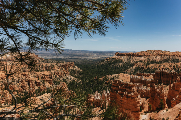 Las Vegas: Bryce und Zion Nationalparks Tour mit Mittagessen