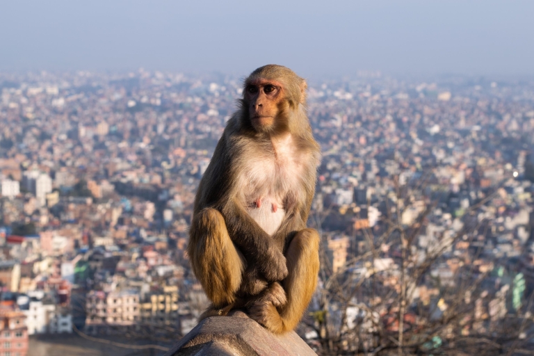 Katmandu: 11-dniowa wycieczka po środkowym Nepalu