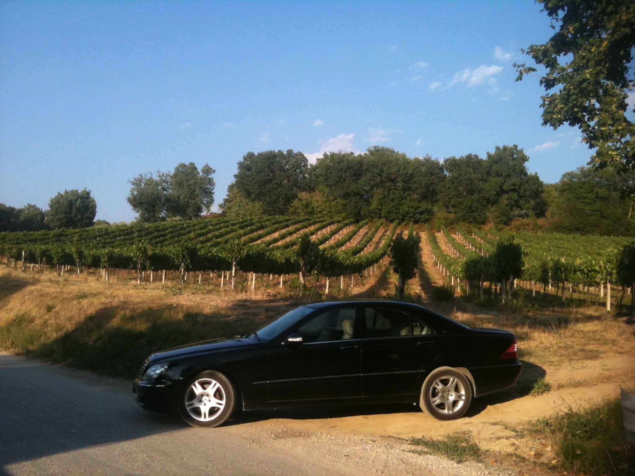 Ganztagestour Montefalco und Bevagna Weinverkostung