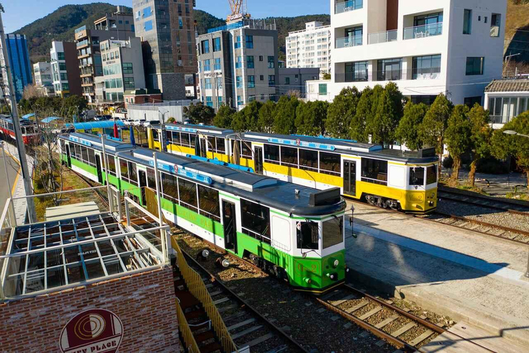 (Guaranteed Return) Busan City Tour for Ulsan Cruise Guests