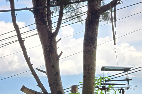 Medellin: Comuna 3 Constellations Graffity tour