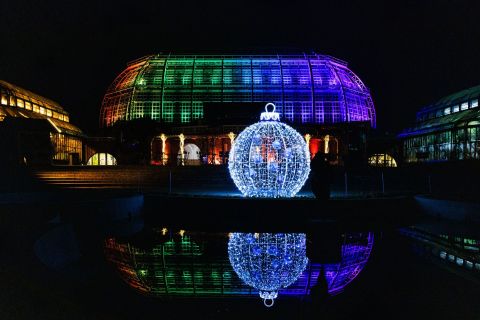 Berlin: Inngangsbillett til jul i den botaniske hagen