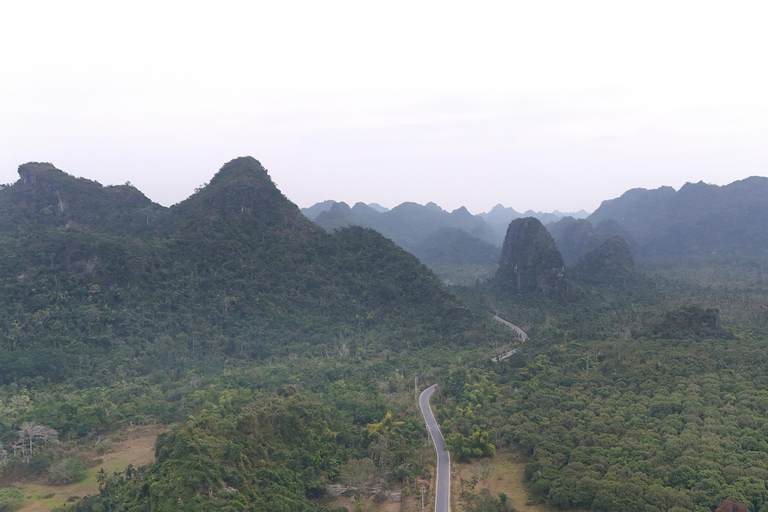 Half Day Hiking to Cat Ba National Park with a Guide