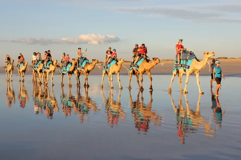 Broome Paseo en camello de 45 minutos por la playa de Cable antes de la puesta de sol
