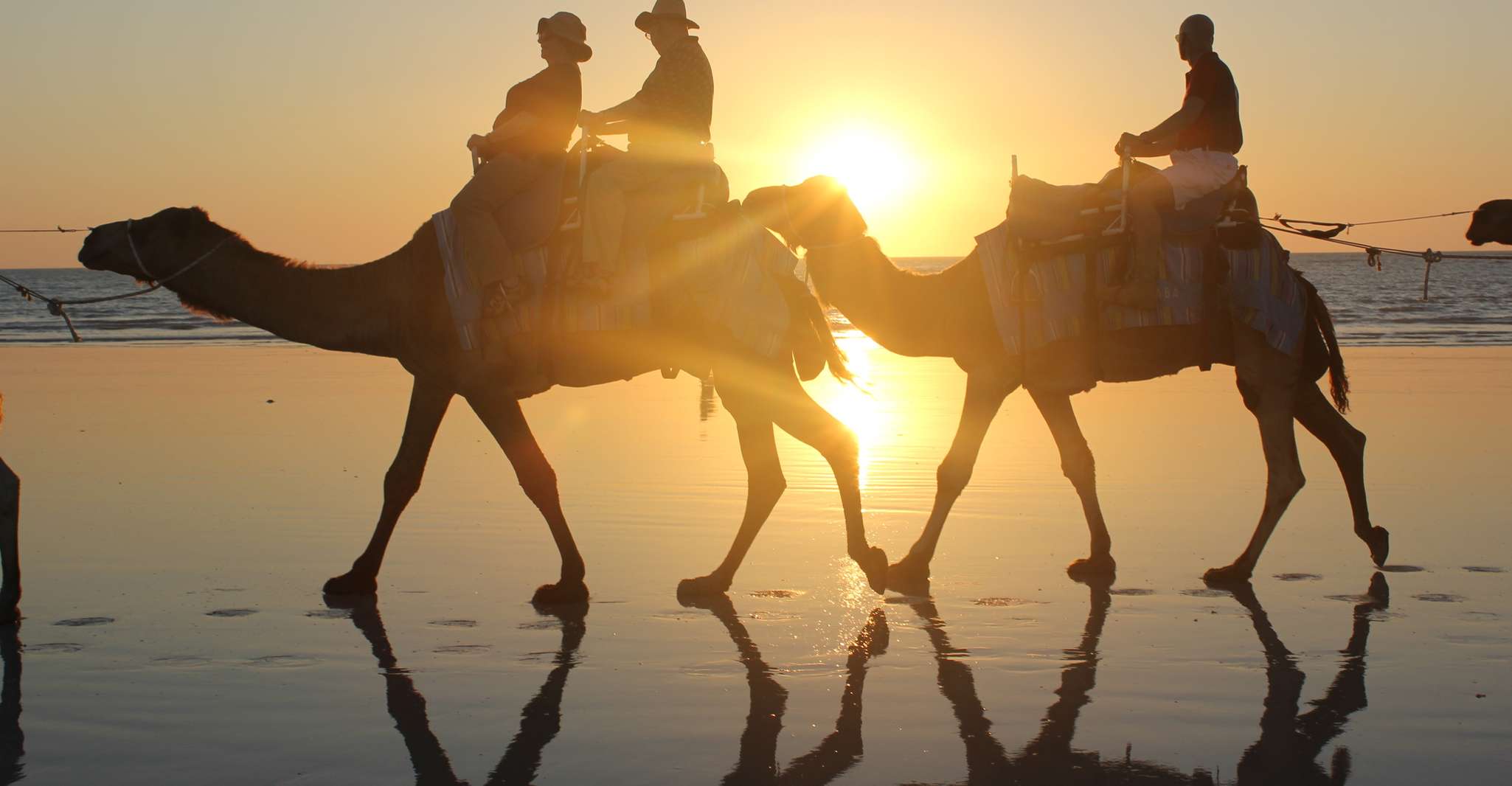 Cable Beach, 1-Hour Sunset Camel Ride - Housity