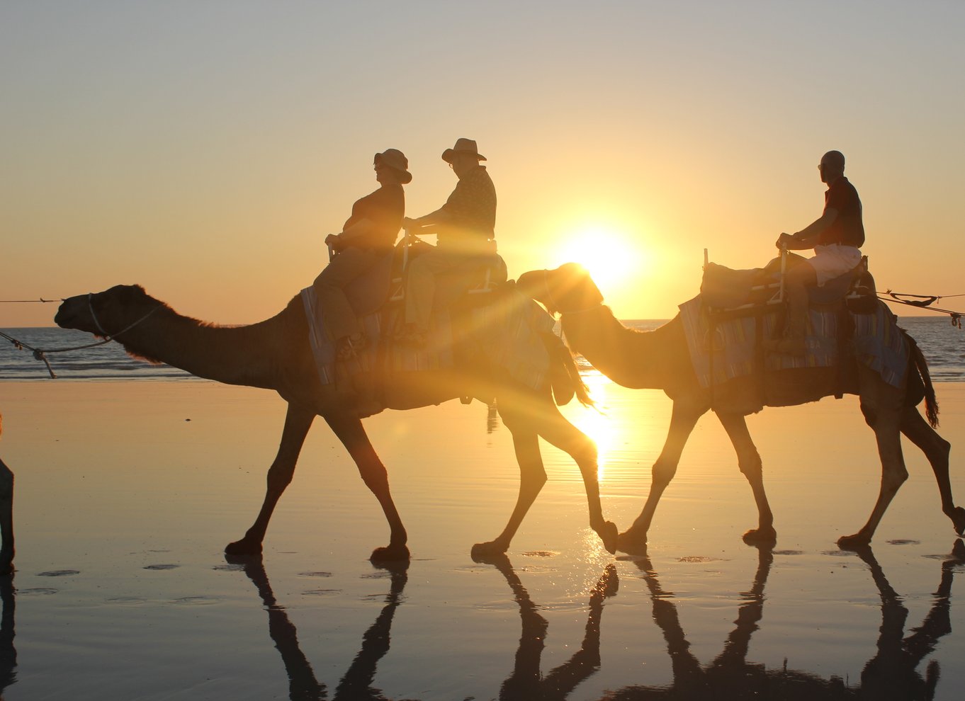 Cable Beach: 1 times kameltur ved solnedgang