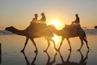 Cable Beach, 1-Hour Sunset Camel Ride - Housity