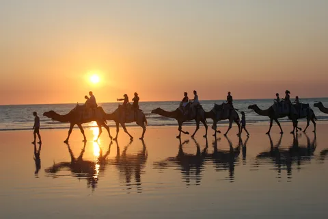 Playa del Cable: Paseo en camello de 1 hora al atardecer